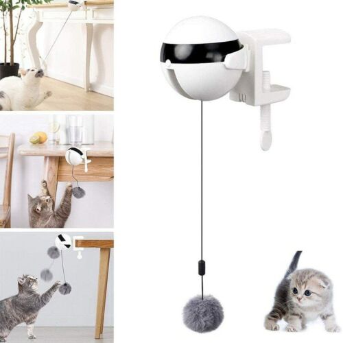 Self Playing Cat Toy