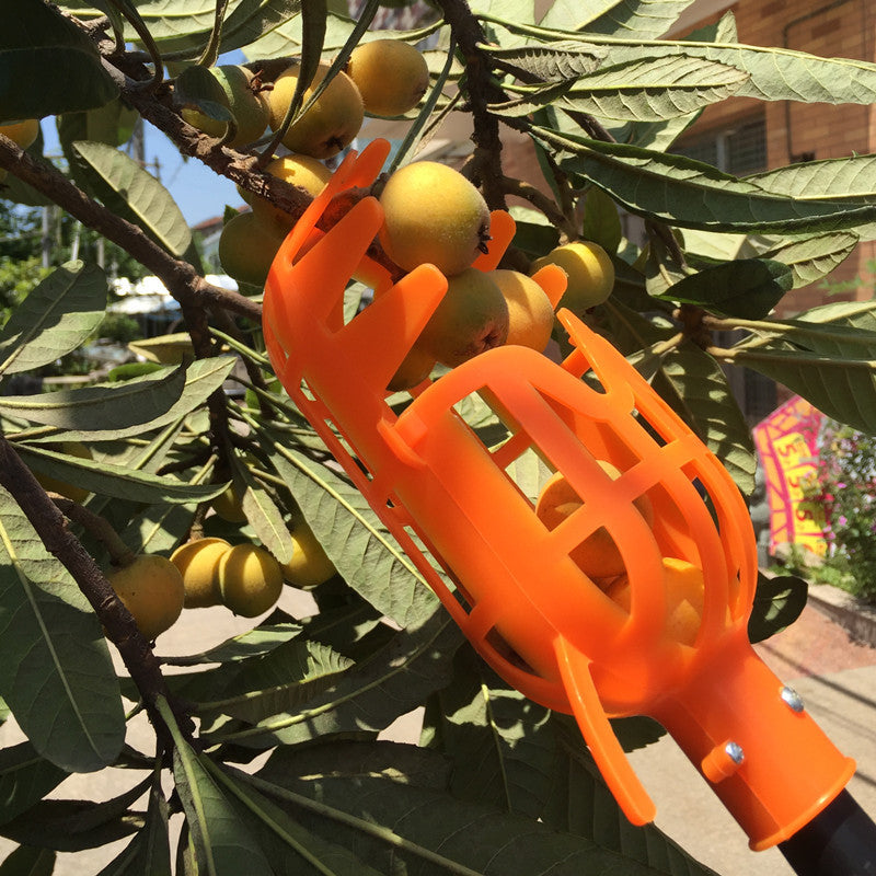 Fruit Picker