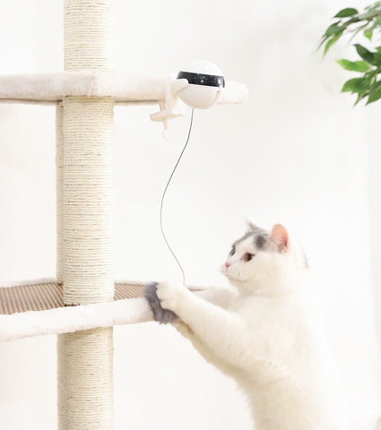 Self Playing Cat Toy