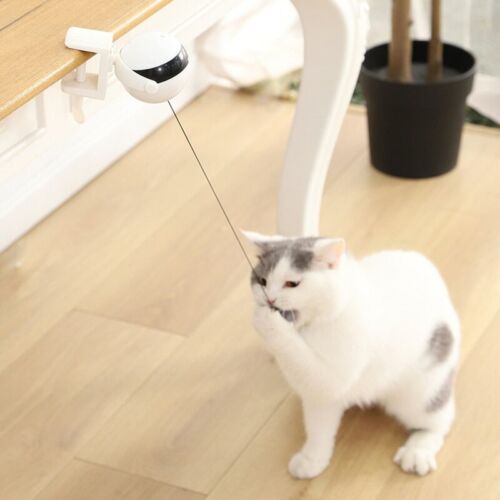 Self Playing Cat Toy