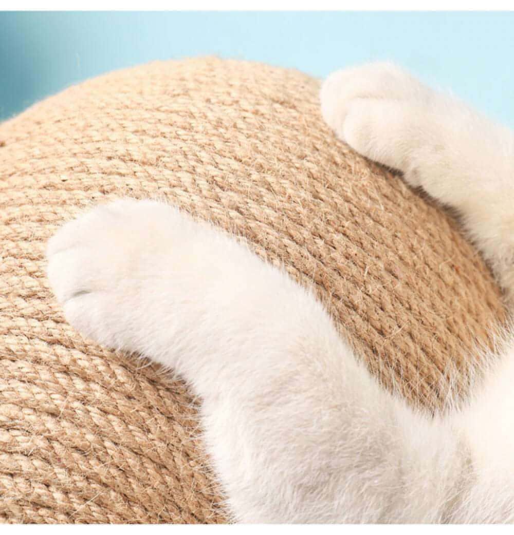 Cat Scratcher Toy