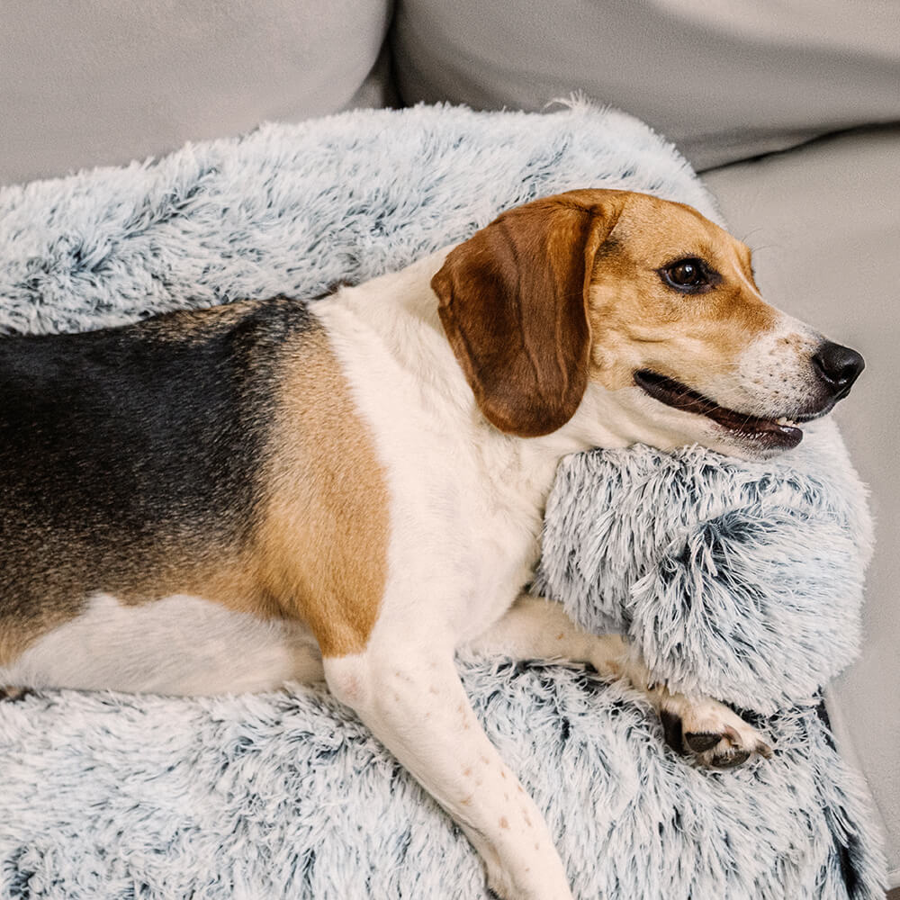 Calming Dog Sofa Bed | Anti-Anxiety Couch Cover Protector