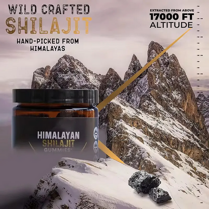 Pure Himalayan Shilajit Gummies 🏔️