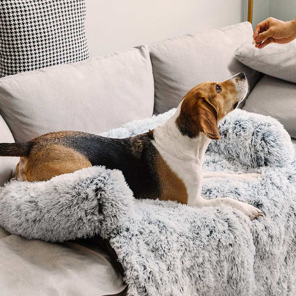 Calming Dog Sofa Bed | Anti-Anxiety Couch Cover Protector