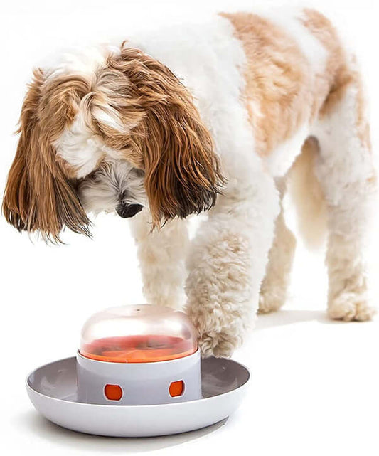 Slow Feeder Dog Bowl