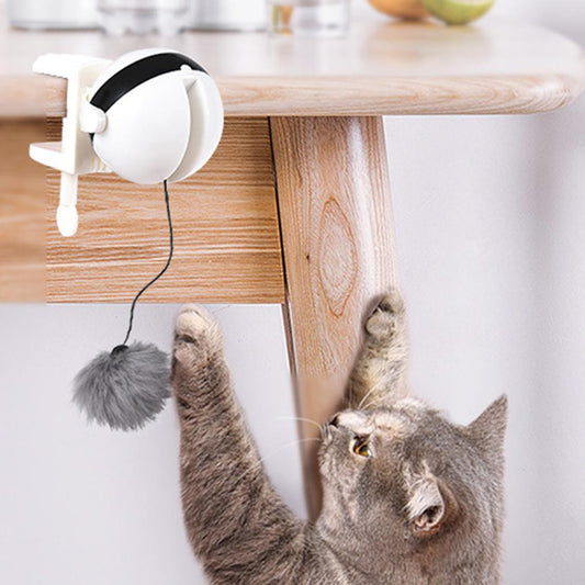 Self Playing Cat Toy