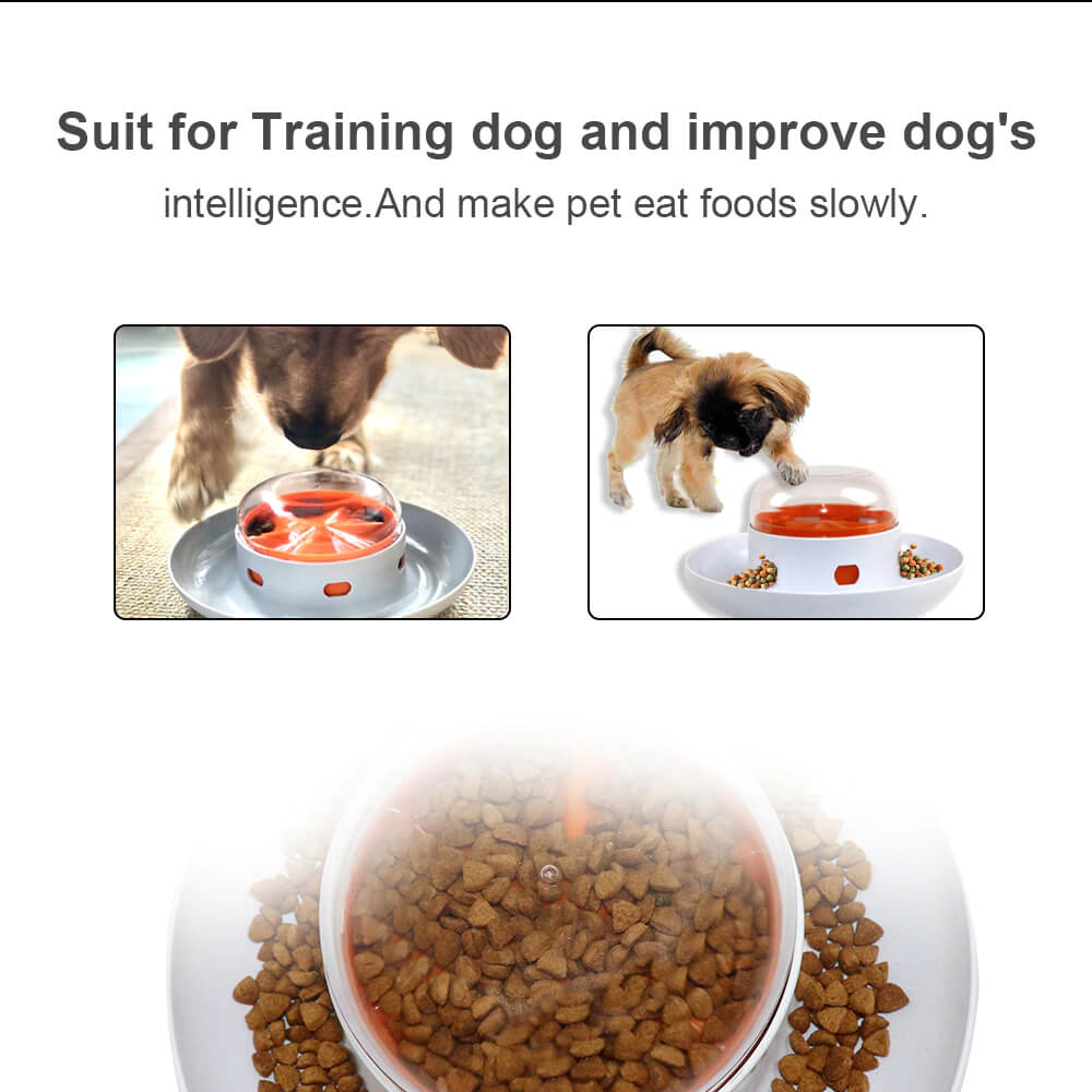 Slow Feeder Dog Bowl