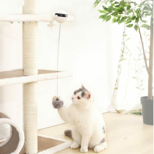 Self Playing Cat Toy