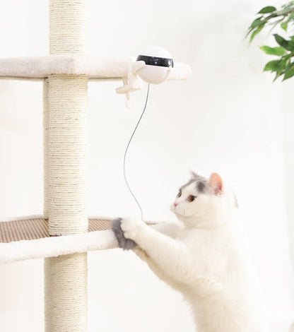 Self Playing Cat Toy