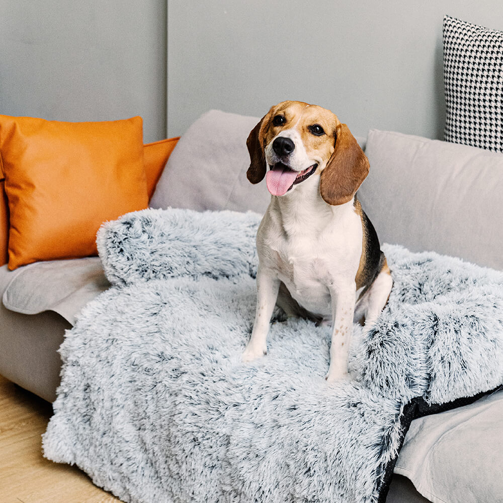 Calming Dog Sofa Bed | Anti-Anxiety Couch Cover Protector