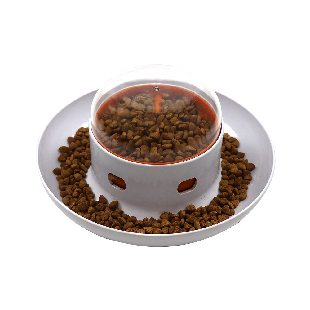 Slow Feeder Dog Bowl