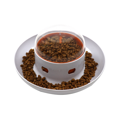 Slow Feeder Dog Bowl