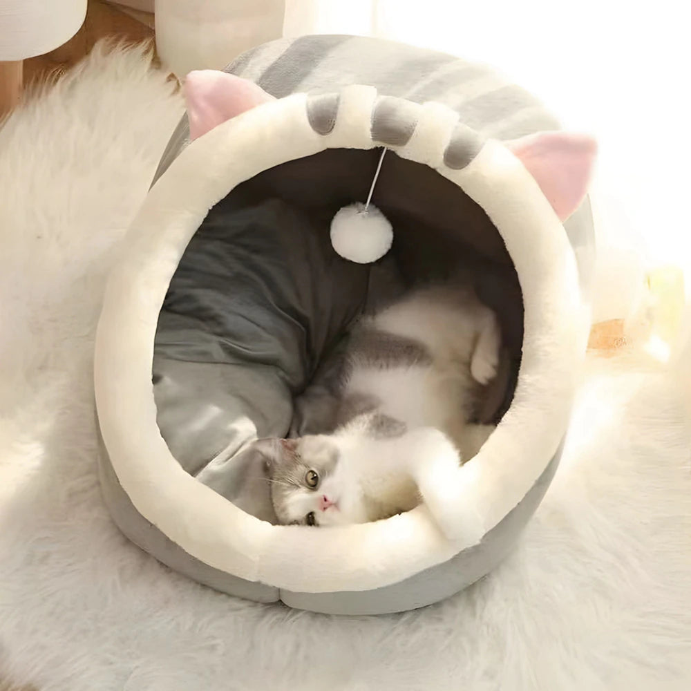 Cat Bed House