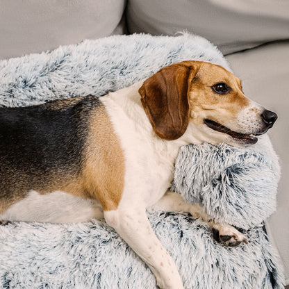 Calming Dog Sofa Bed | Anti-Anxiety Couch Cover Protector